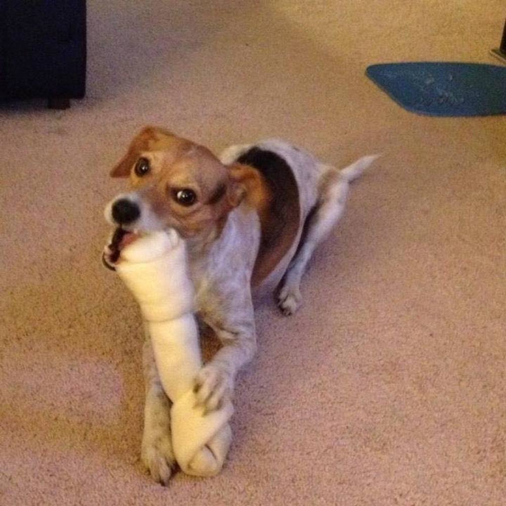 Meet your Posher, Sherry